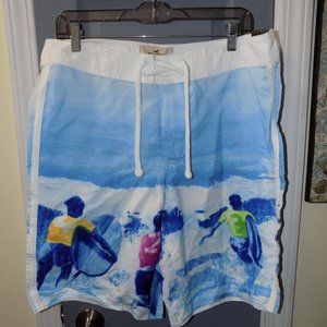 Hollister Surfing Print Board Shorts Size L Men's